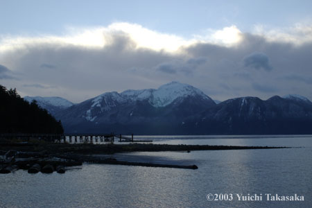 P100-2031cloudy