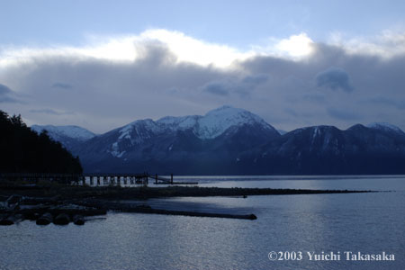 P100-2031daylight